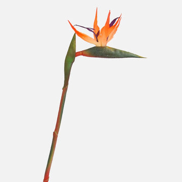 Qfdian Strelitzia / Artificial Butterfly Orchid Green Plant Artificial Flowers